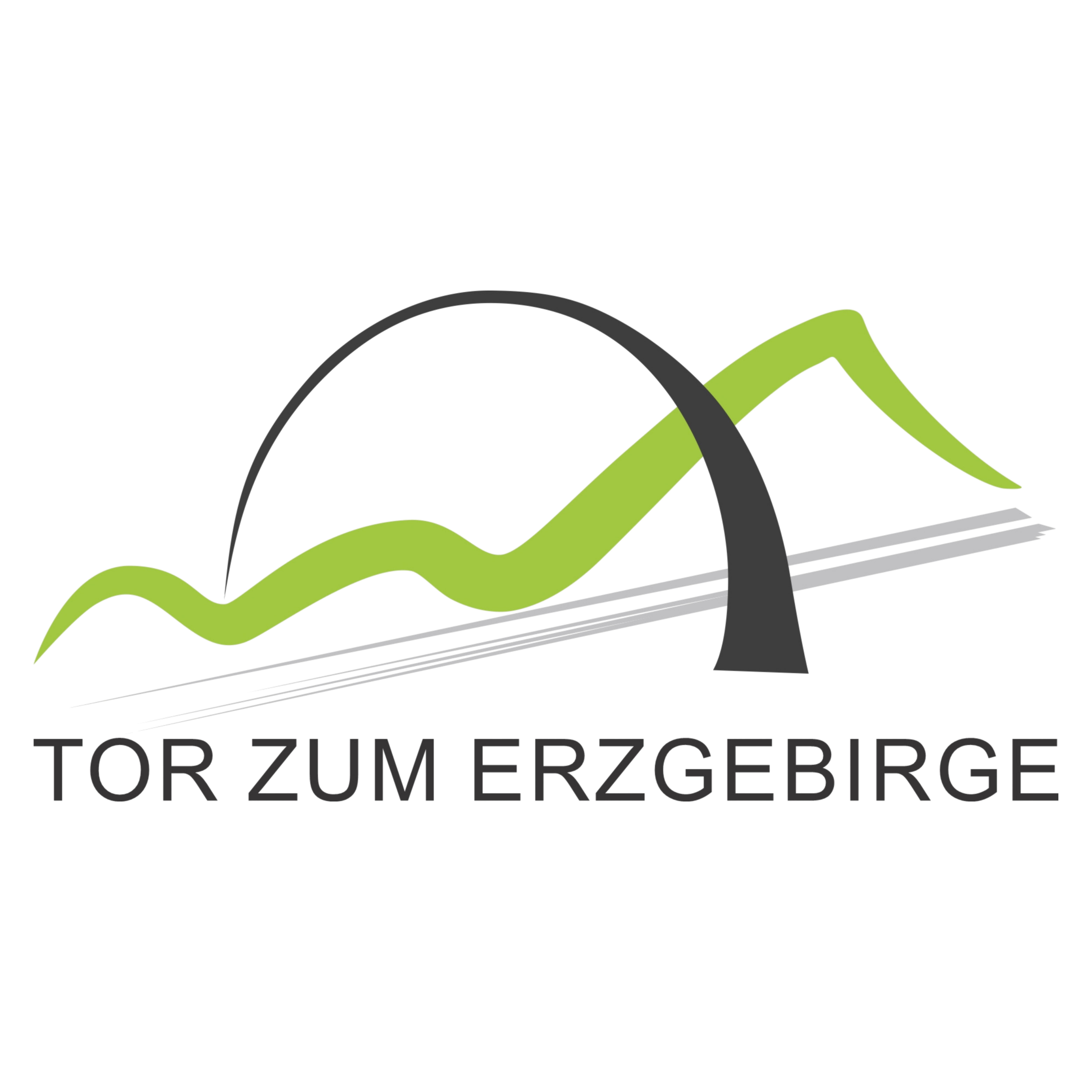 Logo TorzumErzgebirge